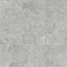 Shaw Floors Home Fn Gold Ceramic Summit 13 Grey 00500_TG72D