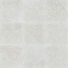 Shaw Floors Home Fn Gold Ceramic Summit 18 White 00100_TG73D