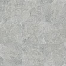 Shaw Floors Home Fn Gold Ceramic Summit 18 Grey 00500_TG73D