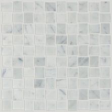 Shaw Floors Home Fn Gold Ceramic Estate  Basketweave Mo Bianco Carrara 00150_TG86B