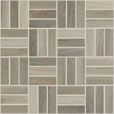 Shaw Floors Home Fn Gold Ceramic Revolution Mosaic Ash 00100_TGJ71