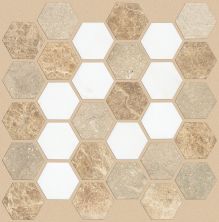 Shaw Floors Home Fn Gold Ceramic Del Ray Hexagon Mosaic Golden Isle 00261_TGL26