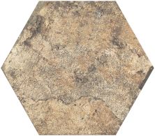 Shaw Floors Home Fn Gold Ceramic Golden Gate Hexagon Pacific Heights 00620_TGN06