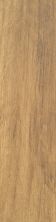 Shaw Floors Home Fn Gold Ceramic Sonoma Plank 8×32 Cask 00700_TGN12