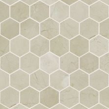 Shaw Floors Home Fn Gold Ceramic Estate Hexagon Mosaic Crema Marfil 00200_TGN87