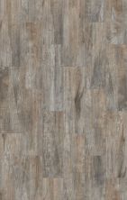 Shaw Floors Home Fn Gold Ceramic Ventura Plank Ash 00500_TGP58
