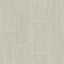 Shaw Floors Toll Brothers Ceramics Parade 12×24 Chenille 00170_TL20B
