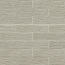 Shaw Floors Toll Brothers Ceramics Geoscapes 4×16 Taupe 00250_TL44C