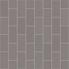 Shaw Floors Toll Brothers Ceramics Baker Blvd 3×6 Gloss Taupe 00550_TL54G