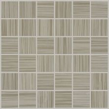 Shaw Floors Toll Brothers Ceramics Parade Mosaic Twill 00500_TL69C