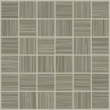 Shaw Floors Toll Brothers Ceramics Parade Mosaic Flax 00570_TL69C
