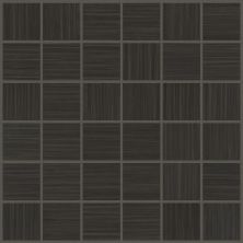 Shaw Floors Toll Brothers Ceramics Parade Mosaic Corduroy 00900_TL69C