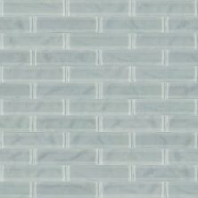 Shaw Floors Toll Brothers Ceramics Principal 3×12 Artisan Glass Shadow 00550_TL73B