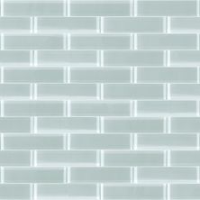 Shaw Floors Toll Brothers Ceramics Principal 3×12 Glass Tile 2 Cloud 00500_TL74B