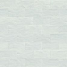 Shaw Floors Toll Brothers Ceramics Geoscapes 3×6 Wall Bone 00150_TL87A