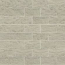 Shaw Floors Toll Brothers Ceramics Geoscapes 3×6 Wall Taupe 00250_TL87A