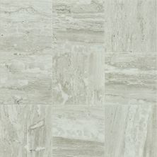 Shaw Floors Toll Brothers Ceramics Prism 13 Jasper 00700_TLJ28