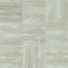 Shaw Floors Toll Brothers Ceramics Prism 17 Jasper 00700_TLJ29