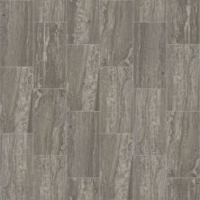 Shaw Floors Toll Brothers Ceramics Prism 12×24 Quartz 00550_TLJ30