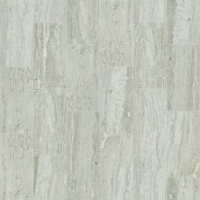 Shaw Floors Toll Brothers Ceramics Prism 12×24 Jasper 00700_TLJ30