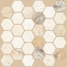Shaw Floors Toll Brothers Ceramics Del Ray Hexagon Mosaic Seaside 00126_TLL26