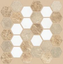 Shaw Floors Toll Brothers Ceramics Del Ray Hexagon Mosaic Golden Isle 00261_TLL26
