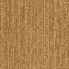 Anderson Tuftex Value Collections Ts148 Amber Grain 00226_TS148