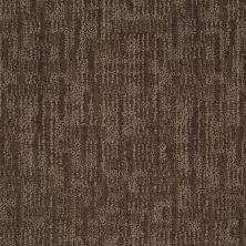Anderson Tuftex Value Collections Ts148 Chinchilla 00579_TS148
