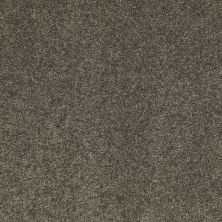 Anderson Tuftex Value Collections Ts279 Charcoal 00539_TS279