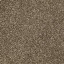Anderson Tuftex Value Collections Ts279 Cottage Stone 00735_TS279