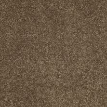Anderson Tuftex Value Collections Ts279 Vicuna 00736_TS279