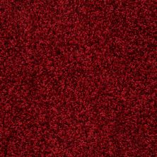 Anderson Tuftex Value Collections Ts299 Red Carpet 00808_TS299