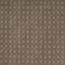 Anderson Tuftex Value Collections Ts322 Simply Taupe 00572_TS322