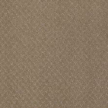 Anderson Tuftex Value Collections Ts348 Mystic Brown 00756_TS348