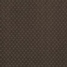 Anderson Tuftex Value Collections Ts348 Chocolate Curl 00757_TS348