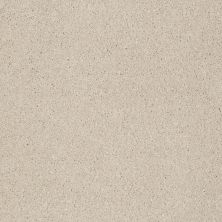 Anderson Tuftex Value Collections Ts363 Lambswool 00112_TS363