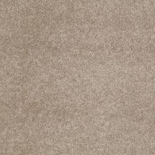 Anderson Tuftex Value Collections Ts363 Latte 00172_TS363
