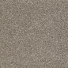 Anderson Tuftex Value Collections Ts363 Flagstone 00552_TS363