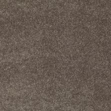 Anderson Tuftex Value Collections Ts363 Koala 00574_TS363