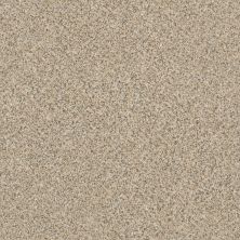 Anderson Tuftex Value Collections Ts473 Sand Dune 00223_TS473