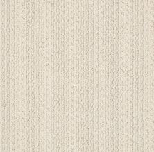 Anderson Tuftex Value Collections Ts474 Mohair 00110_TS474