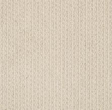 Anderson Tuftex Value Collections Ts474 Brushed Ivory 00111_TS474