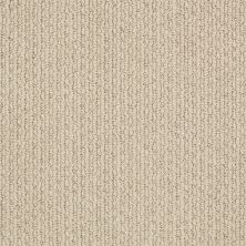 Anderson Tuftex Value Collections Ts474 Chic Cream 00112_TS474
