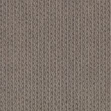 Anderson Tuftex Value Collections Ts474 Simply Taupe 00572_TS474