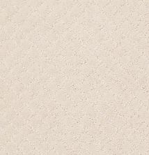 Anderson Tuftex Value Collections Ts513 Barely Beige 00111_TS513