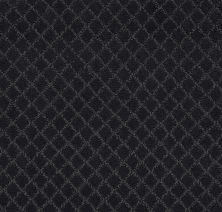 Anderson Tuftex Value Collections Ts513 Night Shade 00558_TS513