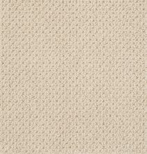 Anderson Tuftex Value Collections Ts517 Biscuit 00114_TS517