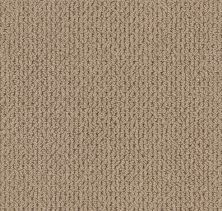 Anderson Tuftex Value Collections Ts517 Latte 00724_TS517
