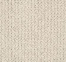 Anderson Tuftex Value Collections Ts519 Aged White 00112_TS519
