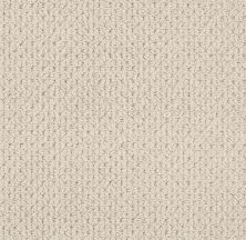 Anderson Tuftex Value Collections Ts519 Natural 00113_TS519